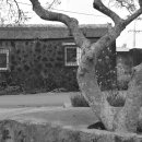 일과1리 이미지