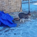 CU청포대셀링점 이미지