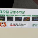 뛰댕이 애견 실내 놀이터 네이버블로그