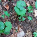 골짜기농장 이미지