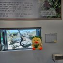 양포주유소 이미지
