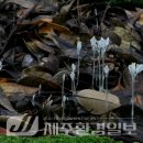 한라전설(주) 이미지