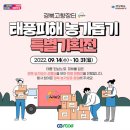 장터11호