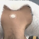 모메라이프 | 나의 최상의 컨디션을 재정의하다, 라이프웨이브 X49 패치 후기