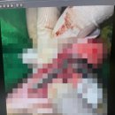 한결동물병원 이미지