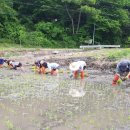 눈비산마을 공동체농장 이미지