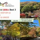 금원산생태수목원 이미지