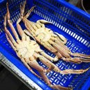 왕대박대게파티 이미지