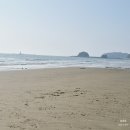 530일~539일 아기 육아 일상 : 17개월 아이 폐렴 입원, 이앓이와 재접근기로 육아 난이도 급상승