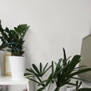 휘경공인중개사사무소 이미지