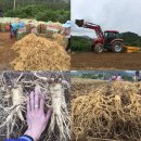 병삼농장 이미지