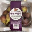이태리세탁소 이미지