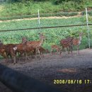 병우농장 이미지