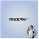 더원펜션 블루 | 영덕 애견동반펜션 예약부터 숙소 추천까지 반려견과 함께 핵심 정리