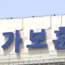 주먹구구 창업일보