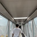 호텔벅스(HOTEL BUCKS) | 마쓰야마 여행 (1-1) / 반스이소, 비이도로, 바이신지역 해변, 트램타는 위치 등 꿀팁 대방출