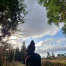 에코승마아카데미 이미지