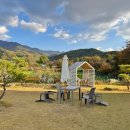솔바람 | 원주 가을 산책 &amp; 커피 : 운곡솔바람숲길 카페 산아페