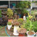 황금뜰농장 이미지