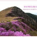 배바우마트 이미지