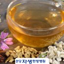 감초한방병원 이미지