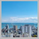 서강공인중개사사무소 이미지