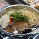 녹돼야지
