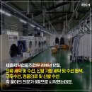 세종세탁 이미지