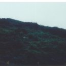 청송목장 이미지