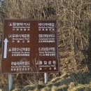 안인진임해자연휴양림 네이버블로그