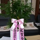 양천구 구의회 이미지