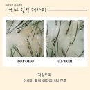 하라힐즈전주