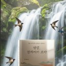 25-233. 연암, 경계에서 보다/박수밀/여름의서재/펴낸이 권은정/1쇄 2025.4.11./371면/24,000원 이미지