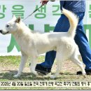 성웅 이미지