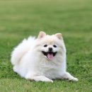 성종섬유 이미지