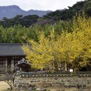 실버넷중부 이미지