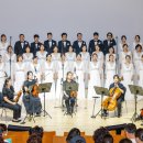 달보드레 이미지