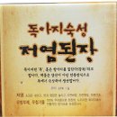 독아지 이미지