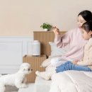 일리동물의료센터 이미지