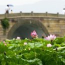 서호달빛 이미지