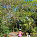 더 레지던스 잔지바르 메인 수영장 후기 🌴 잔지바르 키짐카지 리조트