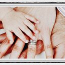 경주월드 화장실 이미지