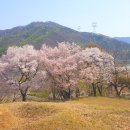 너를 만나다 이미지