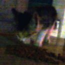 두별(주) 이미지