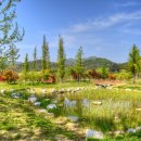 수목원 이미지