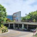 반월천1 이미지