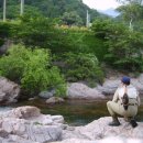 오색초등학교 이미지