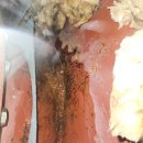 화성 목욕탕 이미지