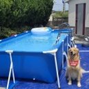 풀하우스펜션 이미지