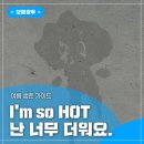 호남고속도로확창 시민의견을 청취했습니다//광프리카에서 살아남으려면 [광주광역시제공] 이미지